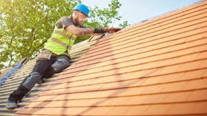 Best Sheet Metal Roofing  in Inver Grove Heights, MN