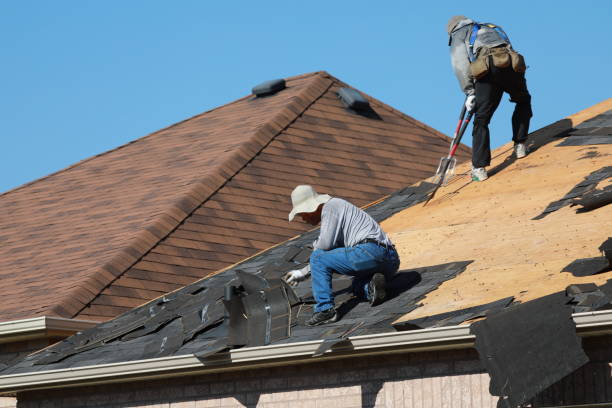 Best Gutter Installation and Repair  in Inver Grove Heights, MN