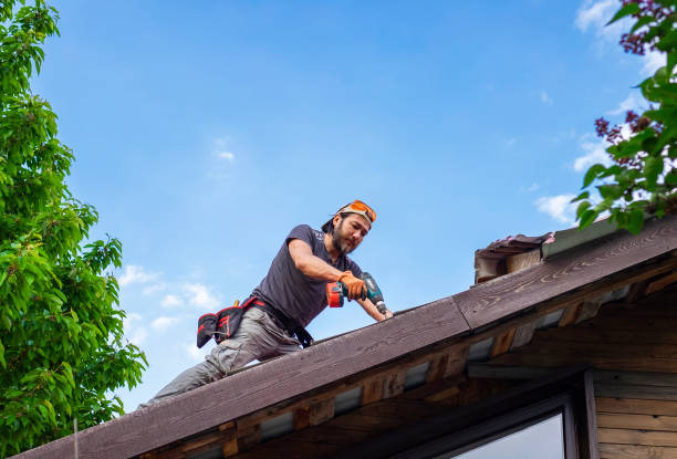 Best Solar Panel Roofing Installation  in Inver Grove Heights, MN